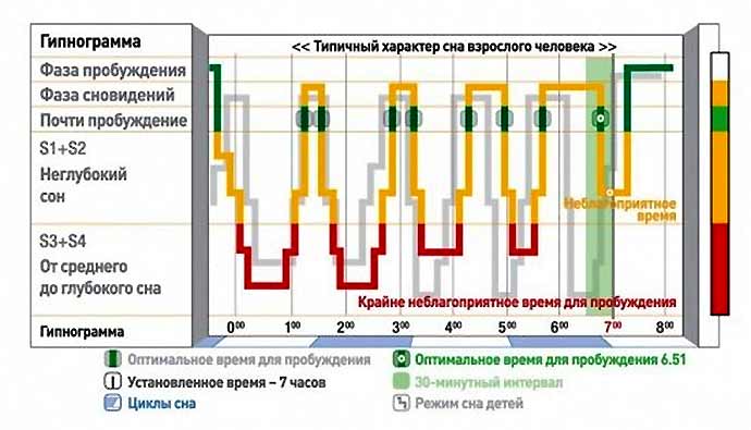 Что такое фазы сна, и что происходит с организмом